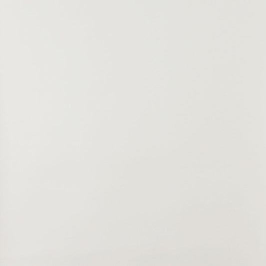 7739 Leather Grain,Plain & Solid White & Ivory Charlotte Fabrics Vinyl