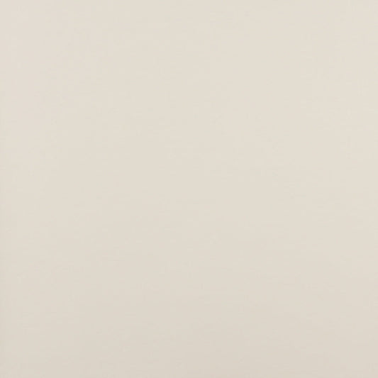 7746 Leather Grain,Plain & Solid White & Ivory Charlotte Fabrics Vinyl