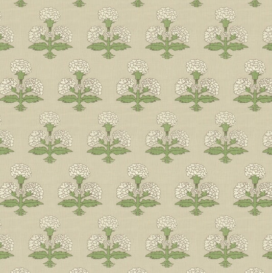 7857 HYDRANGEA Stout Multi-Purpose