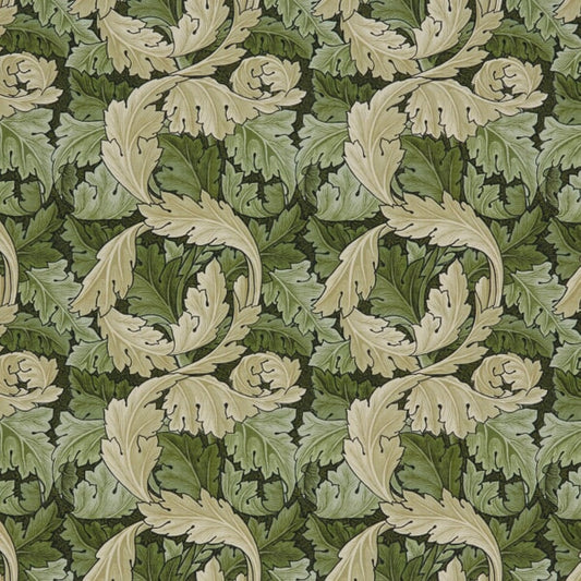 7859 ACANTHUS Stout Multi-Purpose