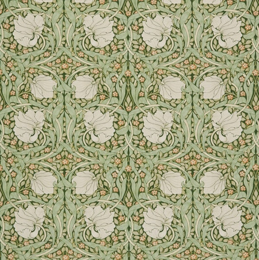 7865 PIMPERNEL Stout Multi-Purpose