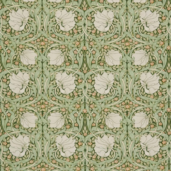 7865-4 WMAH 7865 PIMPERNEL 4 DILL DILL MULTIPURPOSE