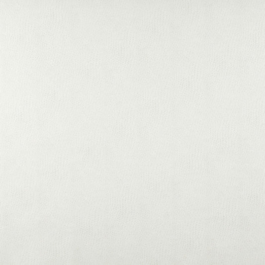 7876 Plain & Solid White & Ivory Charlotte Fabrics Vinyl