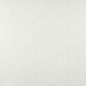 7876 Plain & Solid Natural White & Ivory Charlotte Fabrics Vinyl