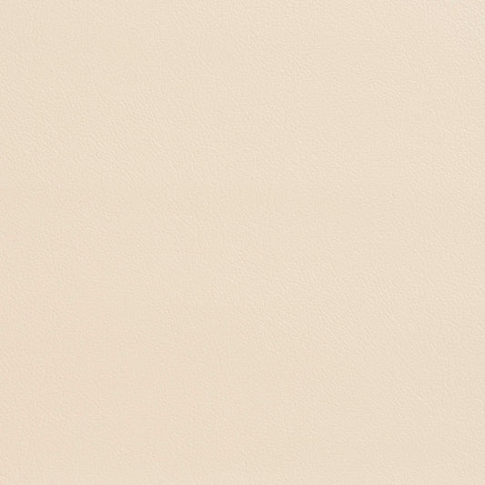 7935 Leather Grain,Plain & Solid Whitecap Beige & Taupe Charlotte Fabrics Vinyl