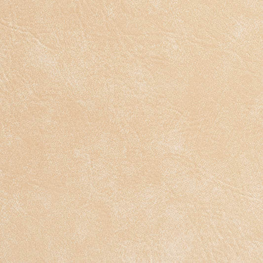 7949 Leather Grain,Plain & Solid Seashell Beige & Taupe Charlotte Fabrics Vinyl