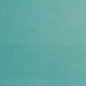 7956 Leather Grain,Plain & Solid Turquoise Aqua & Teal Charlotte Fabrics Vinyl