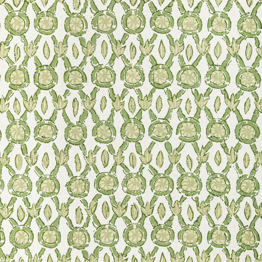 8022103-33 GALON PRINT LEAF BRUNSCHWIG & FILS