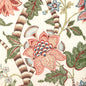 8023105-312 CADENET PRINT APRICOT/SAGE BRUNSCHWIG & FILS
