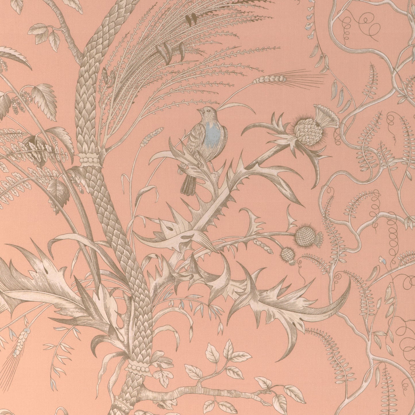 8024101-1216 BIRD AND THISTLE II PEACH BRUNSCHWIG & FILS