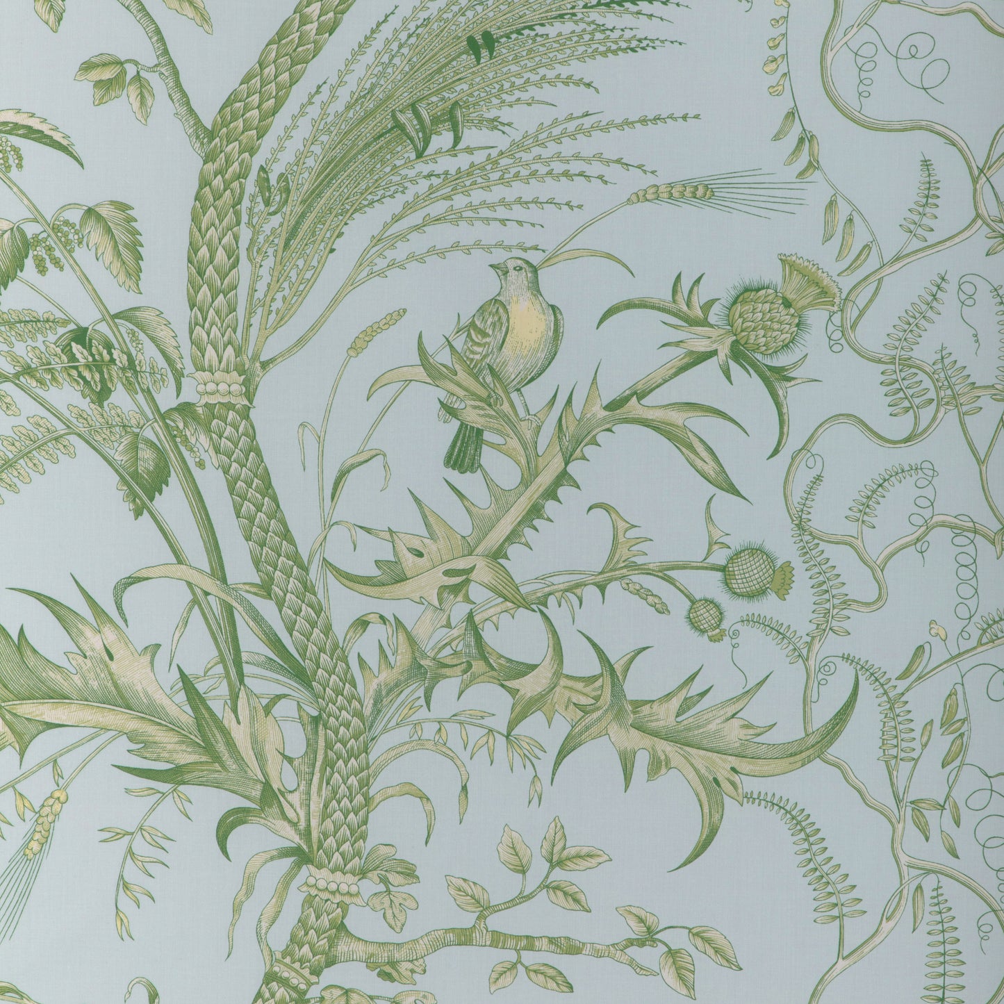 8024101-153 BIRD AND THISTLE II SKY BRUNSCHWIG & FILS