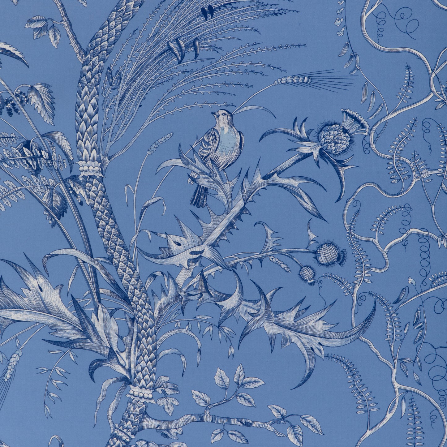 8024101-55 BIRD AND THISTLE II BLUE BRUNSCHWIG & FILS