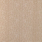 8024103-16 LES TOUCHES REVERSE SAND BRUNSCHWIG & FILS
