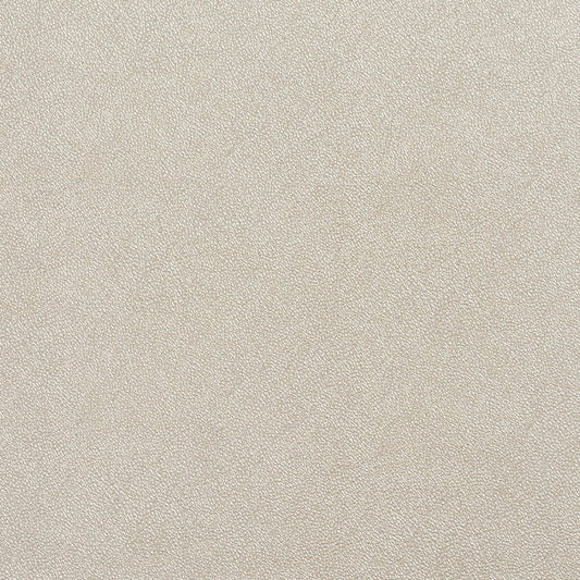 8030 Leather Grain,Plain & Solid Beige & Taupe Charlotte Fabrics Metallic,Vinyl