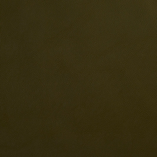 8068 Leather Grain,Plain & Solid Hunter Green Charlotte Fabrics Vinyl