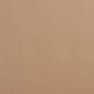 8075 Leather Grain,Plain & Solid Sandstone Beige & Taupe Charlotte Fabrics Vinyl