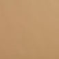 8079 Leather Grain,Plain & Solid Beige & Taupe Charlotte Fabrics Polyurethane,UltraHyde,Vinyl