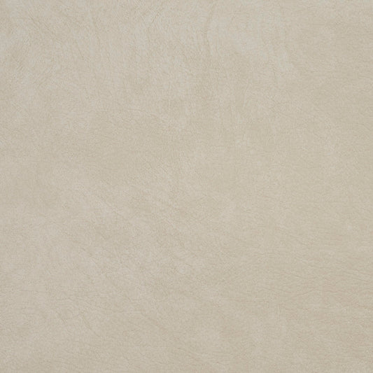 8093 Leather Grain,Plain & Solid Beige Beige & Taupe Charlotte Fabrics Vinyl