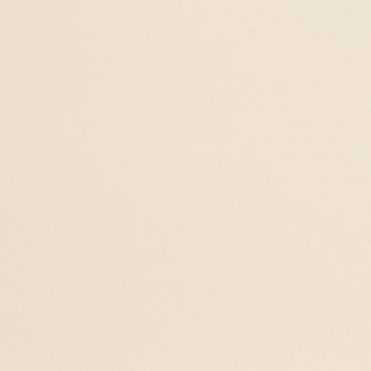 8207 Leather Grain,Plain & Solid White & Ivory Charlotte Fabrics Polyurethane,UltraHyde,Vinyl