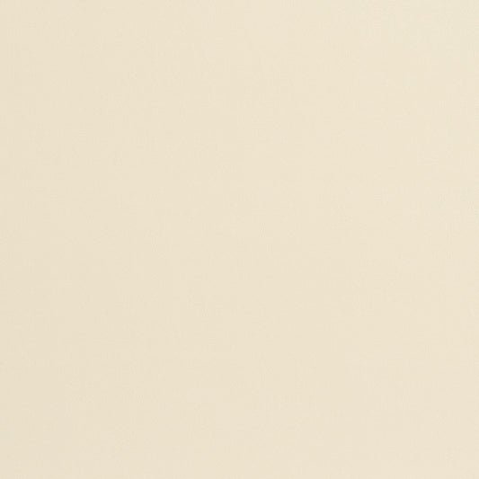 8207 Leather Grain,Plain & Solid Bone White & Ivory Charlotte Fabrics Vinyl