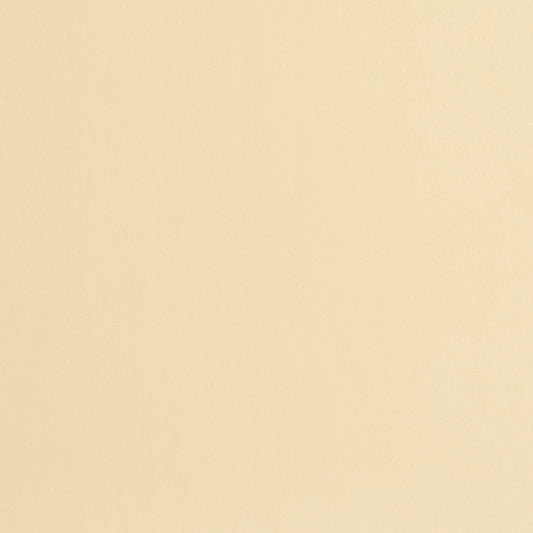 8217 Leather Grain,Plain & Solid Cream Beige & Taupe Charlotte Fabrics Vinyl