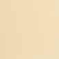 8217 Leather Grain,Plain & Solid Cream Beige & Taupe Charlotte Fabrics Vinyl