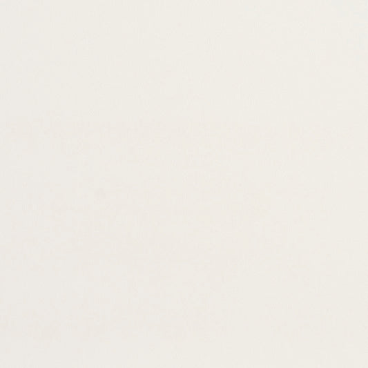8219 Leather Grain,Plain & Solid White White & Ivory Charlotte Fabrics Vinyl