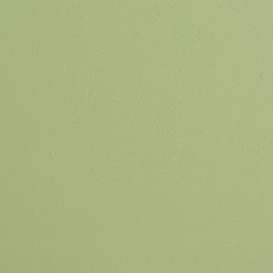 8226 Leather Grain,Plain & Solid Mint Green Charlotte Fabrics Vinyl