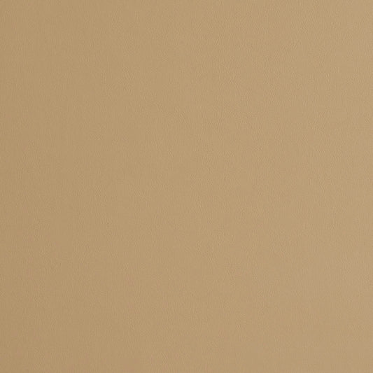 8231 Leather Grain,Plain & Solid Sand Beige & Taupe Charlotte Fabrics Vinyl
