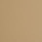 8231 Leather Grain,Plain & Solid Sand Beige & Taupe Charlotte Fabrics Vinyl