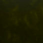 8236 Leather Grain,Plain & Solid Army Green Charlotte Fabrics Vinyl