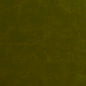 8252 Leather Grain,Plain & Solid Fern Green Charlotte Fabrics Vinyl