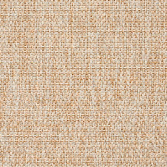 8415 Plain & Solid Parchment  Beige & Taupe Charlotte Fabrics