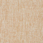 8415 Plain & Solid Parchment  Beige & Taupe Charlotte Fabrics