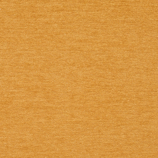 8419 Plain & Solid Cornsilk  Gold & Yellow Charlotte Fabrics