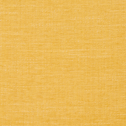 8442 Plain & Solid Canary  Gold & Yellow Charlotte Fabrics