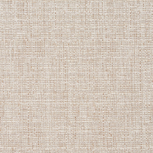 8464 Plain & Solid Alabaster  Beige & Taupe Charlotte Fabrics