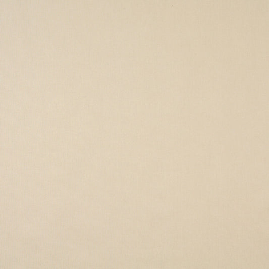 9458 Plain & Solid Linen Beige & Taupe Charlotte Fabrics