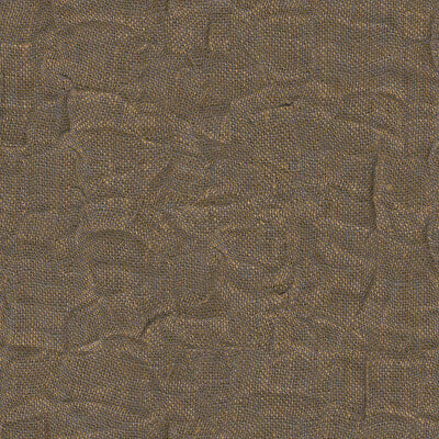 9542-6 BUSTLE FOSSIL KRAVET COUTURE DRAPERY