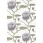 95/4023-CS SUMMER LILY LILAC/GRN/WT COLE & SON Wallpaper