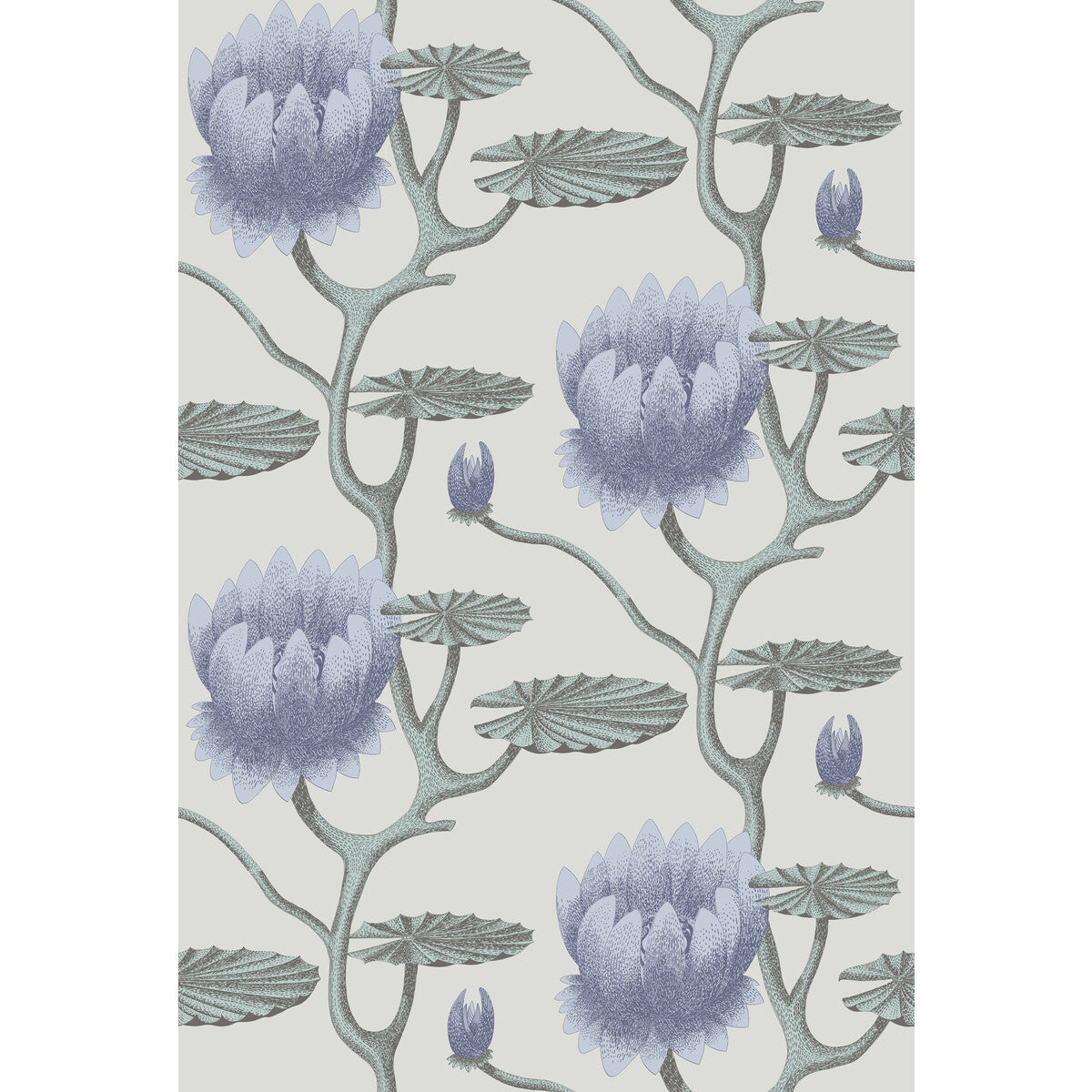 95/4024-CS SUMMER LILY BLU/AQ/PEARL COLE & SON Wallpaper