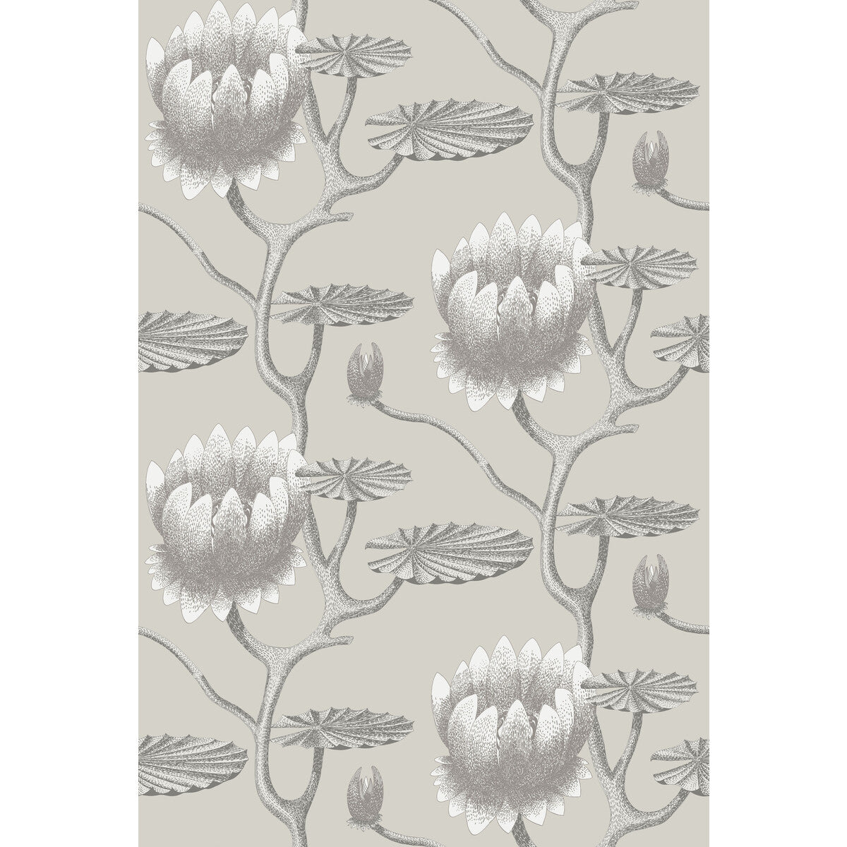 95/4025-CS SUMMER LILY TAUPE/WHITE COLE & SON Wallpaper