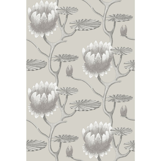95/4025-CS SUMMER LILY TAUPE/WHITE COLE & SON Wallpaper