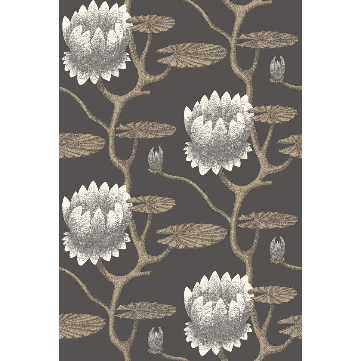 95/4026-CS SUMMER LILY BLK/WHT/GOLD COLE & SON Wallpaper