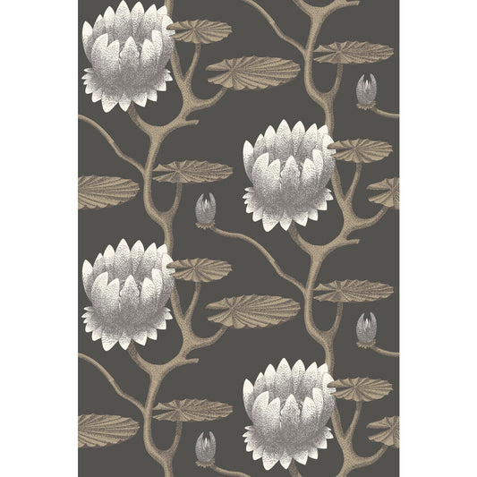 95/4026-CS SUMMER LILY BLK/WHT/GOLD COLE & SON Wallpaper