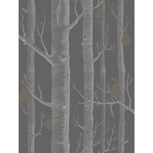 95/5031-CS WOODS & PEARS GILVER/BLACK COLE & SON Wallpaper