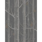 95/5031-CS WOODS & PEARS GILVER/BLACK COLE & SON Wallpaper