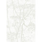 95/9052-CS COW PARSLEY White Cole & Son Wallpaper
