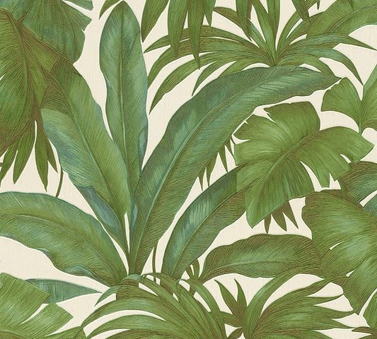 962405X Versace Versace Volume 5 Wallpaper Paragon Amazon