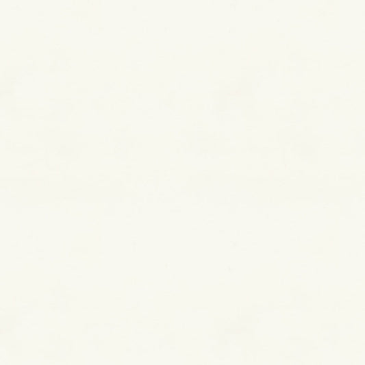 8014133-101 BRUNSCHWIG & FILS LAUDINE WHITE